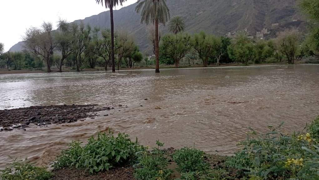 أمطار غزيرة وسيول يشهدها اليمن وصاعقة رعدية تودي بحياة شخص (فيديو)