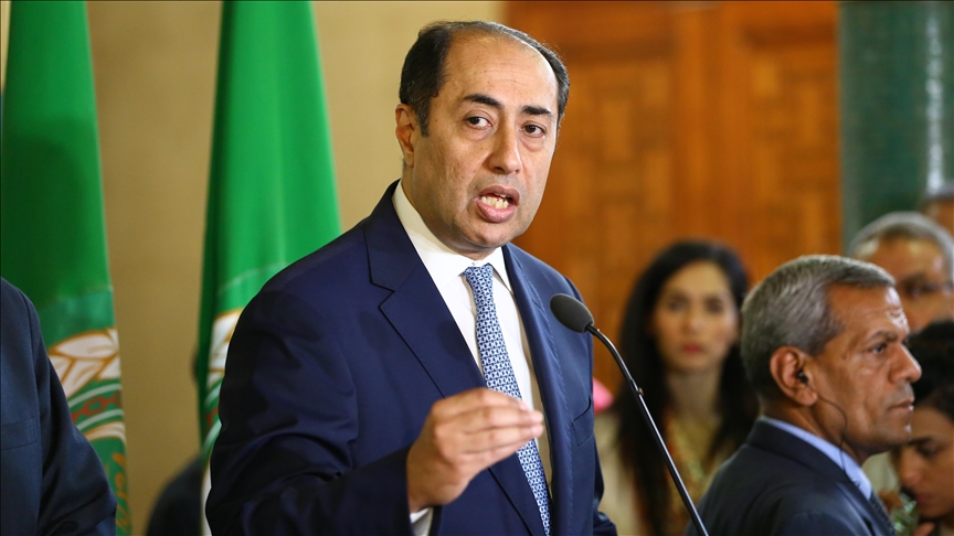الأمين العام المساعد لجامعة الدول العربية حسام زكي (الأناضول)