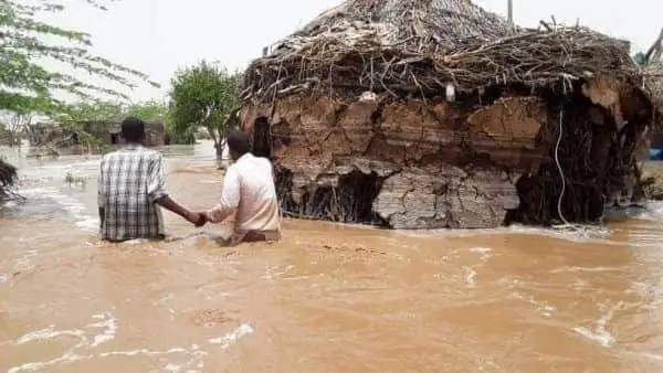 صور من الحديدة للأضرار التي خلفتها السيول في المحافظة