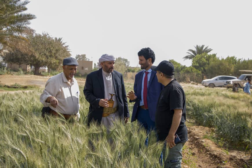 تدشين اليوم الحقلي بمحافظة مأرب