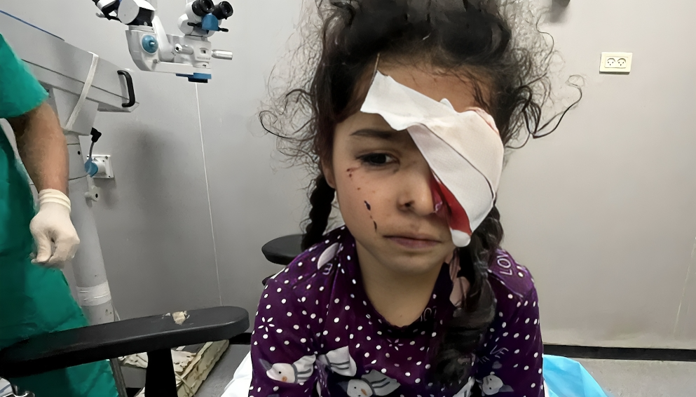 الصحة الفلسطينية: 1500 فلسطيني فقدوا البصر جراء الحرب الإسرائيلية على غزة الصحة الفلسطينية: 1500 فلسطيني فقدوا البصر جراء الحرب الإسرائيلية على غزة